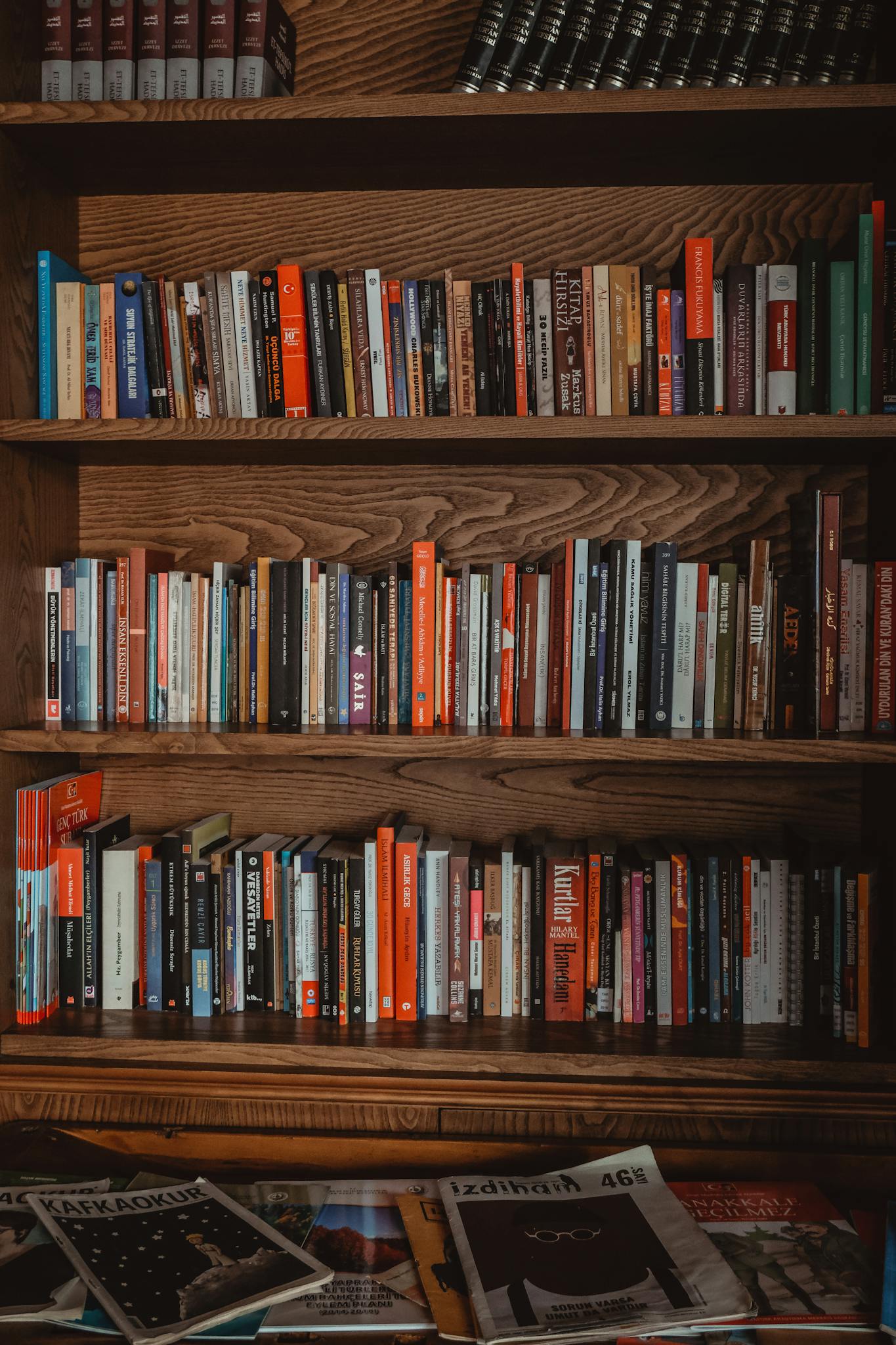 A variety of books neatly arranged on wooden shelves in a cozy library setting.